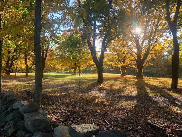 North Shore fall colors
